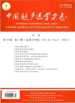中国超声医学